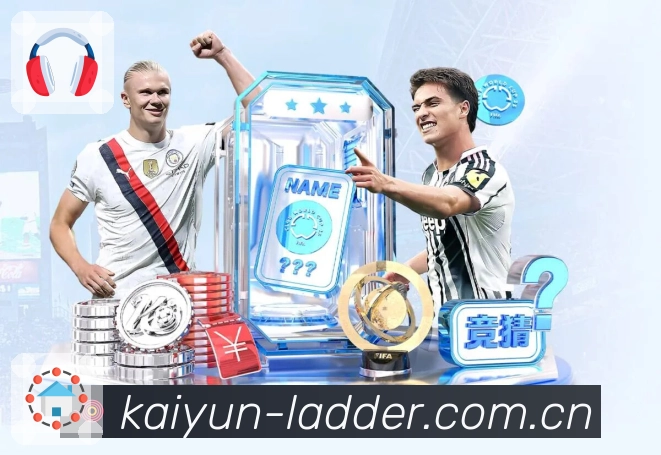 数据可用性概览